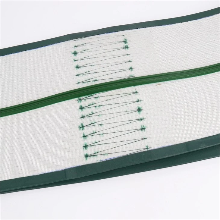 Conveyor belt sealing edge  (3)